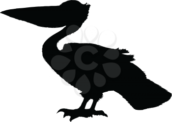 black silhouette of pelican