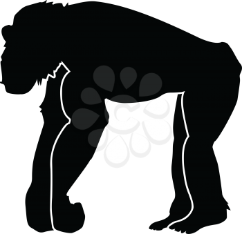 silhouette of chimpanzee