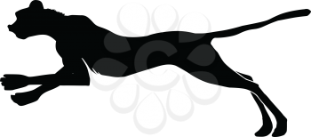 silhouette of cheetah