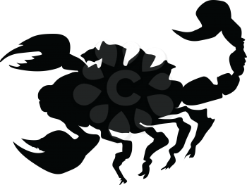 silhouette of scorpion