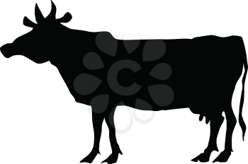 black silhouette of cow
