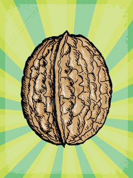 vintage, grunge background with walnut