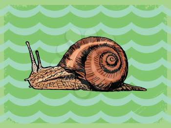 vintage, grunge background with snail