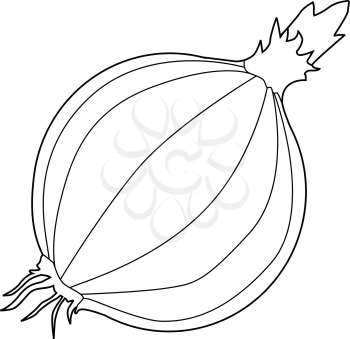 outline illustration of onion, ingredient for meals