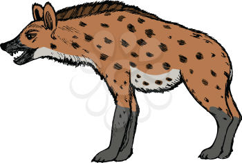 hyena, illustration of wildlife, zoo, wildlife, animal of savannah, Africa, safari, predator