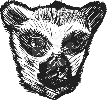 lemur, illustration of wildlife, zoo, animal of jungle, Madagascar, safari