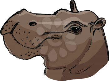 hippopotamus, illustration of wildlife, African, safari, zoo, mammal
