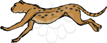 cheetah, illustration of wildlife, African, safari, zoo, mammal