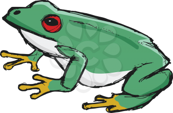 tree frog, illustration of wildlife, zoo, wildlife, animal of rainforest