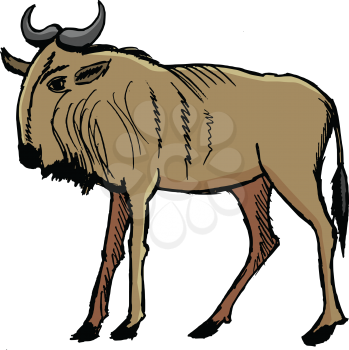 gnu, illustration of african animal