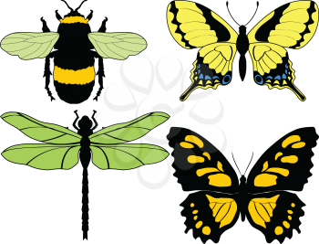 set of vector illustrations of different insects