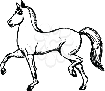 hand drawn, sketch image of horse