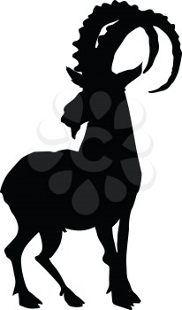 silhouette of mountain goat