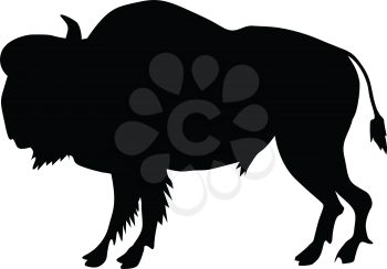 silhouette of buffalo