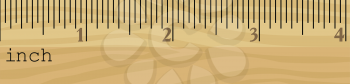 vector illustration of wooden ruler