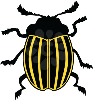 vector silhouette of Colorado potato beetle