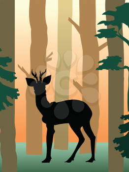 vector illustration of roedeer in the forest