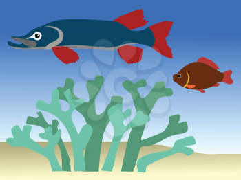 vector illustration of fish