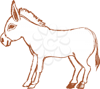 vector, sketch, hand drawn illustration of donkey