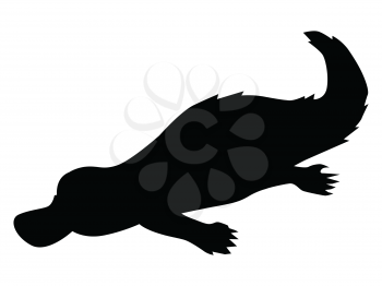 silhouette of platypus, motive of wildlife