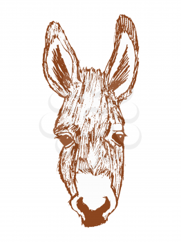 Vector, hand drawn, sketch illustration of donkey. Motives of conceptual print, humor and fashion