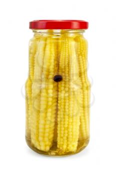 Royalty Free Photo of a Canned Corn