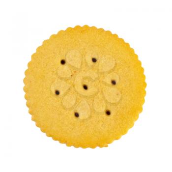 One cracker cookies isolated on white background