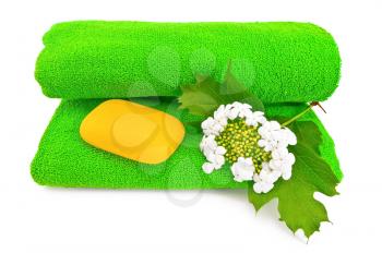 Green towel, a piece of yellow soap and a white flower viburnum isolated on a white background