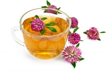 Herbal teas with clover in a glass bowl, flowers of clover isolated on white background