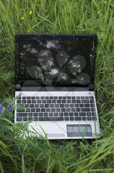 Opened the laptop on a background of green grass and a variety of flowers