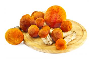Orange aspen mushrooms on a round board isolated on white background