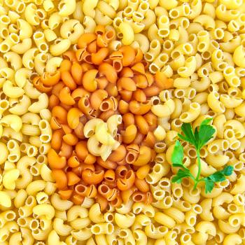 Texture of the yellow and orange pasta in the shape house, a green sprig of parsley