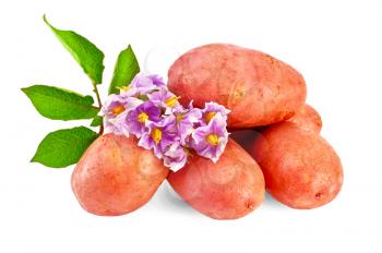 Pile of red potatoes with a flower and green leaves isolated on white background