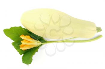 White squash with green leaves and yellow flower isolated on white background