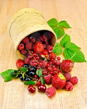 Red and black currants, raspberries, strawberries, cherries with green leaves in a bowl  from birch bark on a wooden board