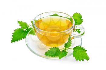 Herbal tea in a glass cup and saucer, three twig nettle isolated on a white background