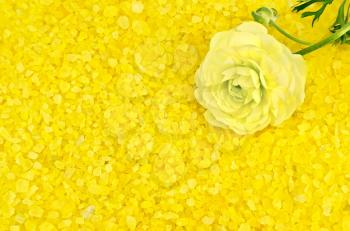 Texture of yellow bath salts with yellow flower ranunculus