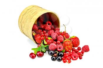 Red and black currants, raspberries, strawberries, cherries with green leaves in a bowl  from birch bark isolated on white background