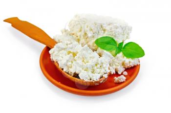 Cottage cheese in a wooden spoon and a clay plate with a sprig of green basil isolated on white background