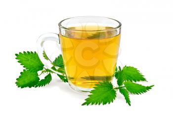 Herbal tea in a glass mug, three twig nettle isolated on a white background