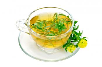 Healing herbal tea in glass cup with flowers Rhodiola rosea is isolated on a white background