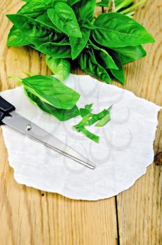 Green basil cut with scissors on paper on the background of wooden boards
