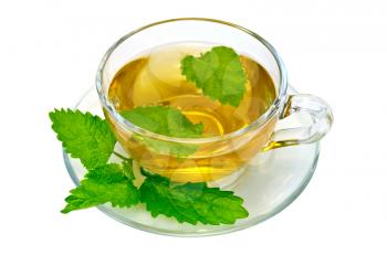 Herbal tea in a glass cup and saucer, a sprig of nettle isolated on a white background