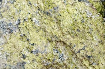 Texture of natural gray granite with green scales mineral