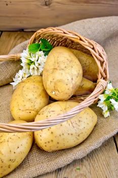 Yellow potato tubers with a flower in a wicker basket on a sacking on a wooden board