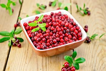 Ripe cranberries in a bowl, sprigs with red berries and green leaves on a wooden boards background