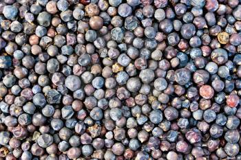 The texture of the dried juniper berries