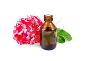 One dark oil bottle with green leaf and flower of pink geranium isolated on white background