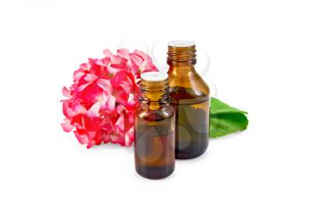 Two dark oil bottle with green leaf and flower of pink geranium isolated on white background