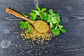 Fenugreek seeds in a spoon and on a table with green leaves on a wooden plank background on top